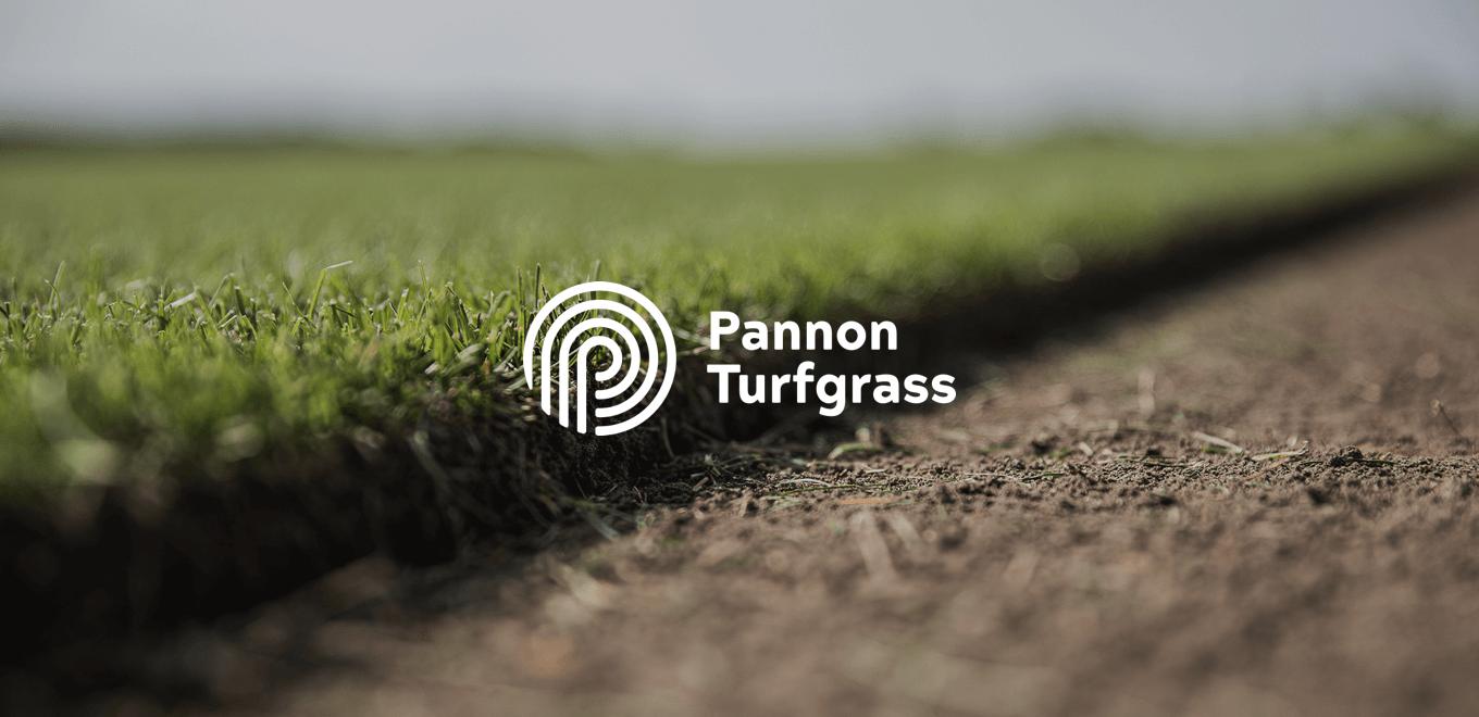 Logo, graphic identity and website for Pannon Turfgrass