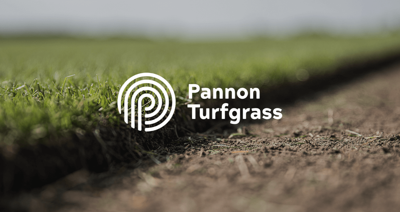 Pannon Turfgrass
